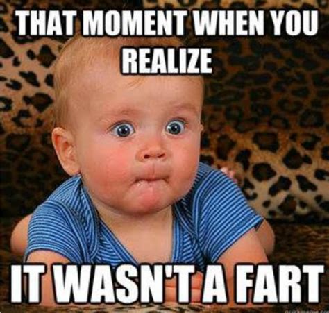 fart meme